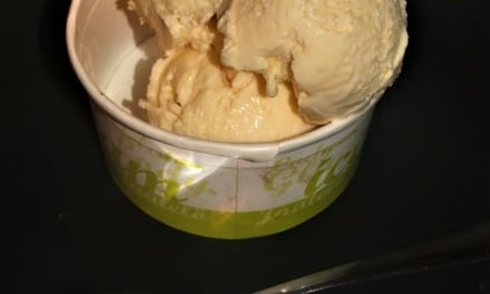Vanilková zmrzlina (bez zmrzlinovače)