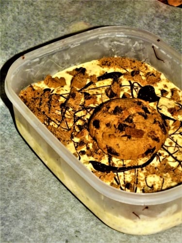 Vanilková zmrzlina se sušenkami