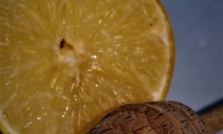 Prášek z citrónové kůry