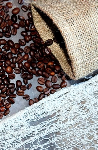 Kávový lógr: přírodní hnojivo i repelent pro vaši zahradu