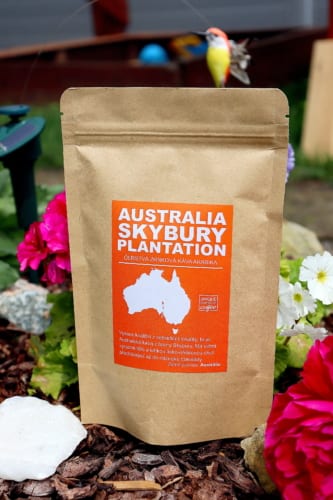 Ochutnávka kávy Australia Skybury Plantation